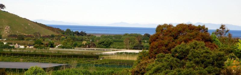 Terraced Chalets Motueka ภายนอก รูปภาพ